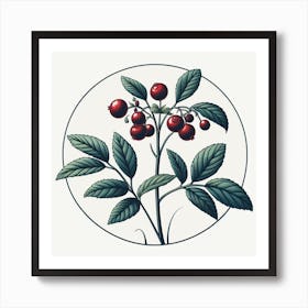 Berries In A Circle Art Print