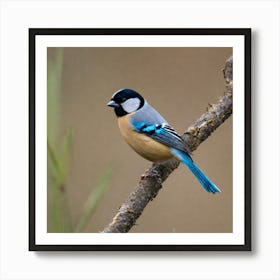 Tit on branch 25 Art Print