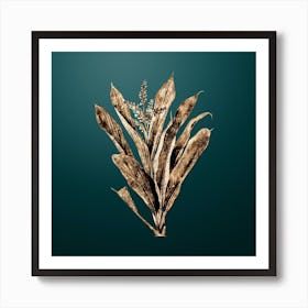 Gold Botanical Cordyline Fruticosa on Dark Teal n.0360 Art Print