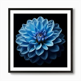 Blue Dahlia 2 Art Print