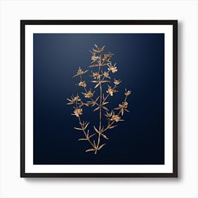 Gold Botanical Heath Mirbelia Branch on Midnight Navy n.0347 Art Print