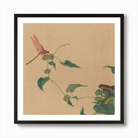 Dragonfly On A Leaf Art Print