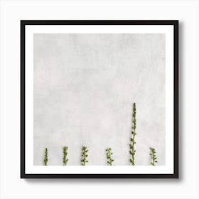 Minimal Delicate Botanicals Square Art Print