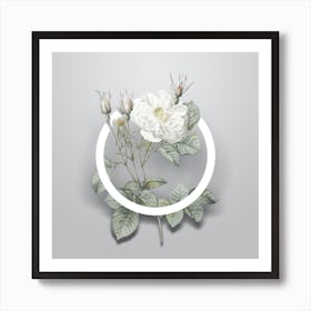 Vintage White Rose of York Minimalist Floral Geometric Circle on Soft Gray n.0006 Art Print