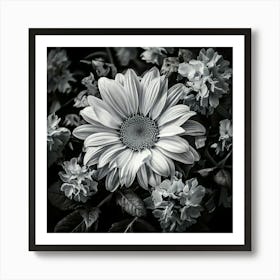 Firefly Black And White Floral Elegance Classic Black And White Floral Images For A Timeless Look 2 Art Print