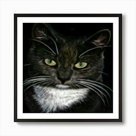 Cat With Green Eyes Poster