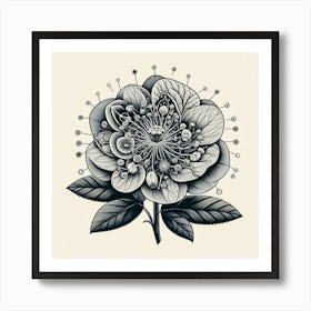 Black And White Flower Art Print