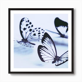 Black And White Butterflies Art Print