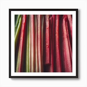 Rhubarb 104 Art Print