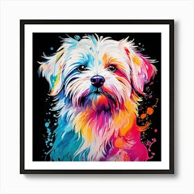 Shih Tzu Art Print