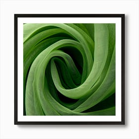 Green Tulip Art Print