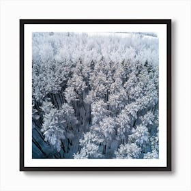 Aerial View Of Snowy Forest Art Print