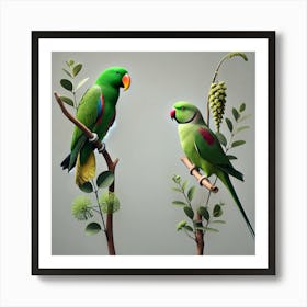 Parrots 3 Art Print