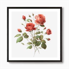 Rose Flower Art Print