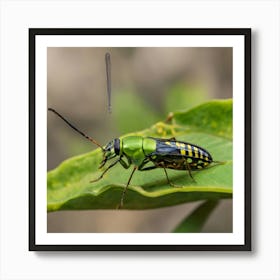 Beetle On Leaf 1 Art Print