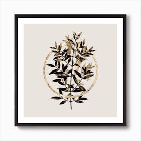 Gold Ring Phillyrea Tree Branch Glitter Botanical Illustration n.0007 Art Print