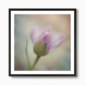 A Close Up Of A Delicate Bird Bud Just Beginning To Bloom, With Soft Petals And Hints Of Vibrant Col (6) Art Print