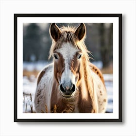 Horse Animal Grass Breeding Head Pasture Donkey Standing Farm Cute White Background Natu (1) Art Print