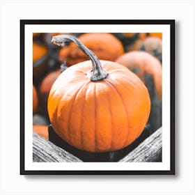 Pumpkins In A Crate Art Print