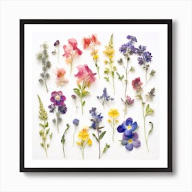 Dried Wild Flowers 25 Art Print