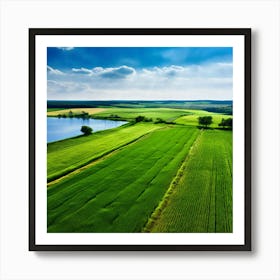 Grass Peace Air Structure Pasture Soy Bean High Country Rural Green Farm Overhead Natur (5) Art Print