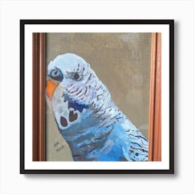 Tommy the budgie  Art Print