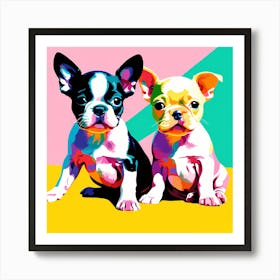 Boston Terrier Pups, This Contemporary art brings POP Art and Flat Vector Art Together, Colorful Art, Animal Art, Home Decor, Kids Room Decor, Puppy Bank - 151 Art Print