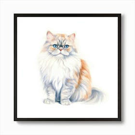 British Longhair Cat Portrait Art Print