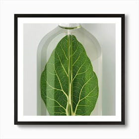 Leaf In A Bottle Art Print