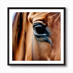 Eye Of A Horse 1 Art Print