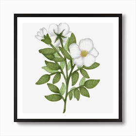 Rose family native wild rose Art Print