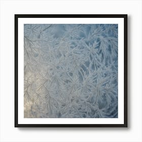 Frosty Window Art Print