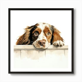 Spaniel Boykin 6 Art Print