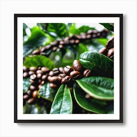 Coffee Beans On A Tree 18 Art Print