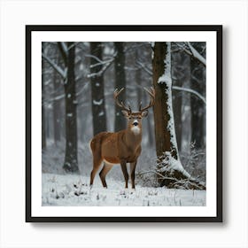 Deer In Winter Forest Art Print