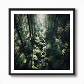 Stream In The Forest Art Print