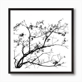 Bare Tree Art Print