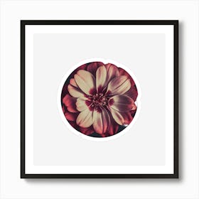 Dahlia 1 Art Print