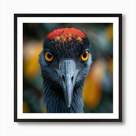 Emu Bird Art Print