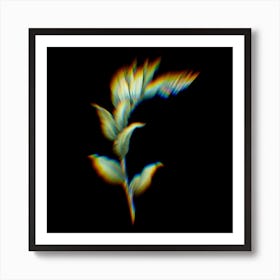 Prism Shift Treacleberry Botanical Illustration on Black n.0063 Art Print