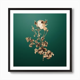 Gold Botanical Celery Leaved Cabbage Rose on Dark Spring Green n.4478 Art Print