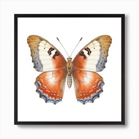 Butterfly 6 Art Print