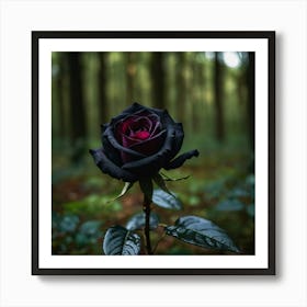 Black Rose In The Forest Art Print