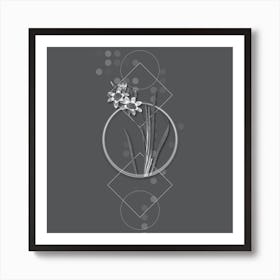 Vintage Ixia Tricolor Botanical with Line Motif and Dot Pattern in Ghost Gray n.0318 Art Print