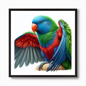 Parrot of Eclectus 1 Art Print