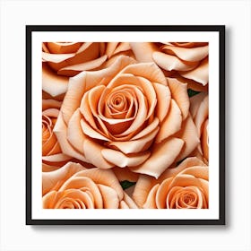 Peach Roses Art Print