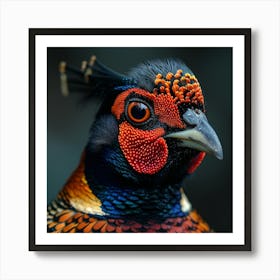 Pheasant 2 Art Print