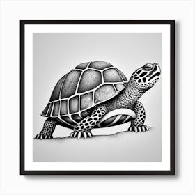 Turtle In Black And White Art Print