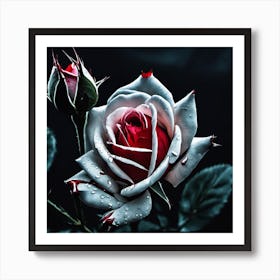 White Rose Art Print