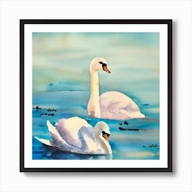 Swans In The Water Art Print